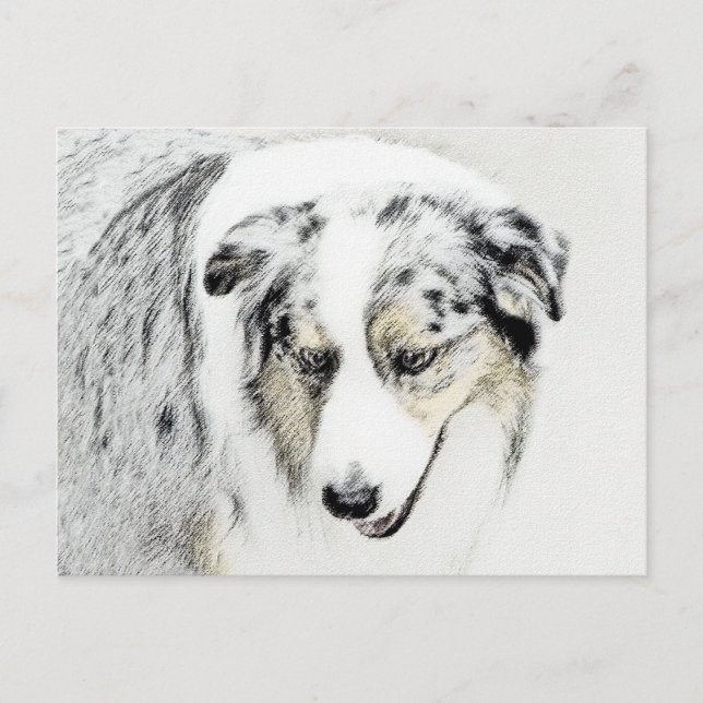 Australisk Shepherd-målning - Original konst med h Vykort (Framsida)