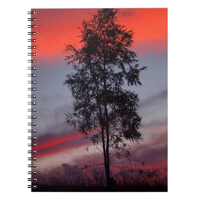 Australisk stormig solnedgångsbärbar dator anteckningsbok med spiral (Framsidan)