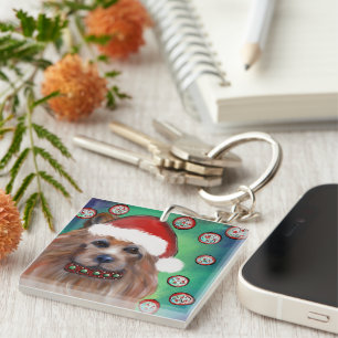 AUSTRALISK TERRIER