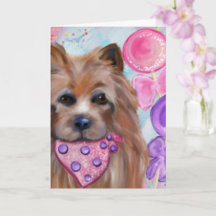 AUSTRALISK TERRIER KORT