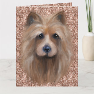  AUSTRALISK TERRIER    KORT