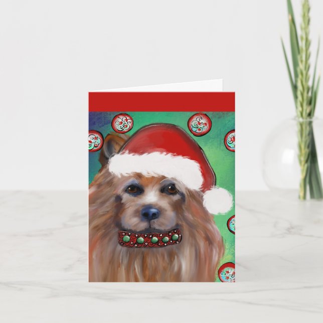 AUSTRALISK TERRIER KORT (Framsida)