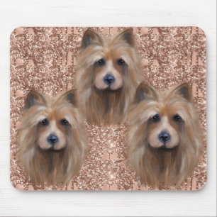 AUSTRALISK TERRIER MUSMATTA