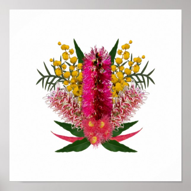 Australisk Vild Flowers Bouquet Poster (Framsidan)