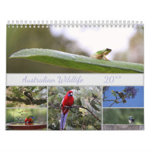 Australisk viltfotografering Motivational