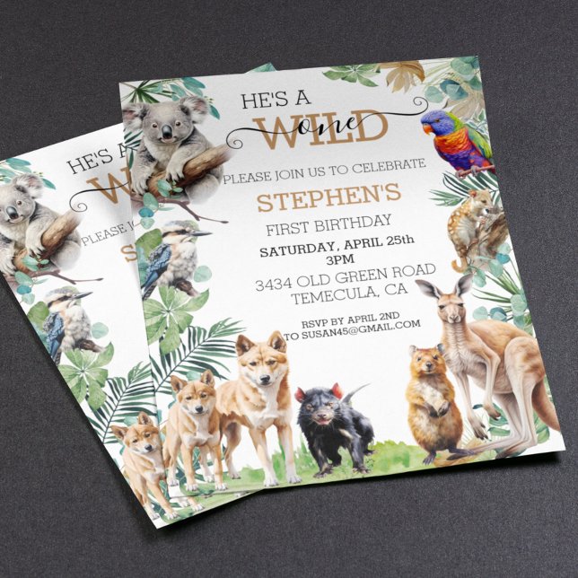 Australiska djur Vild en Birthday Kangaroo (Skapare uppladdad)