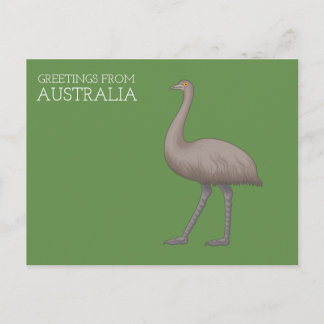 Australiska Emu Postcards Vykort