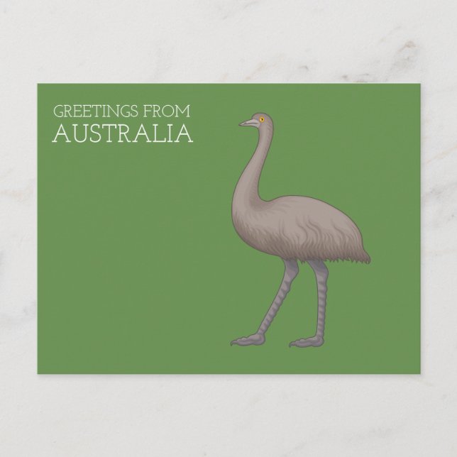 Australiska Emu Postcards Vykort (Framsida)