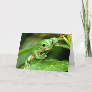 Australiska Grönt Träd Frog-fotohälsningskort Kort