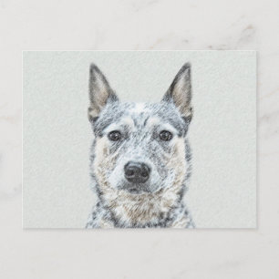 Australiska Hund Cattle Painting - Cute Original A Vykort