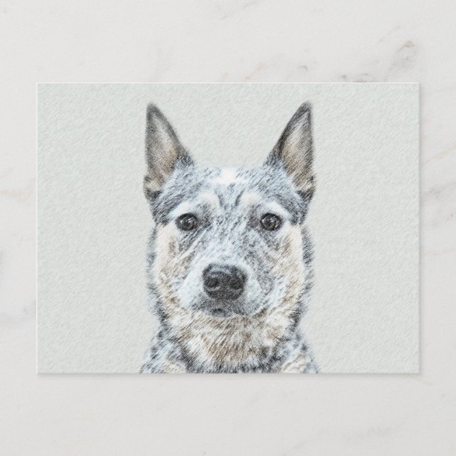 Australiska Hund Cattle Painting - Cute Original A Vykort (Framsida)