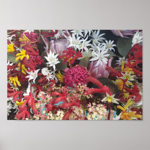Australiska inhemska blommor poster