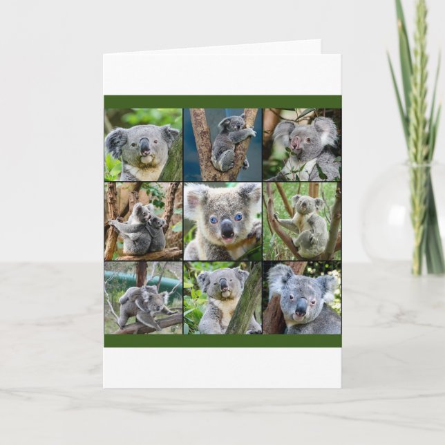 Australiska Koala i Eucalyptus Träd Helgkort (Framsida)