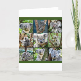 Australiska Koala i Eucalyptus Träd Helgkort