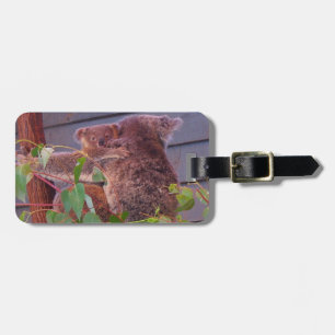 Australiska koala och baby bagagebricka