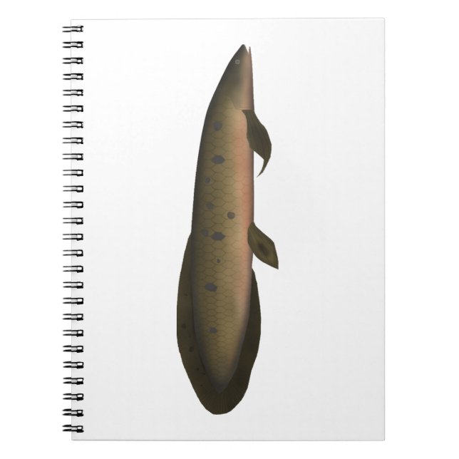 Australiska Lungfisk Anteckningsbok (Framsidan)