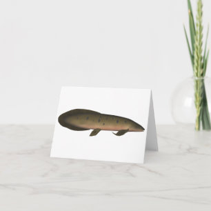 Australiska Lungfisk Anteckningskort