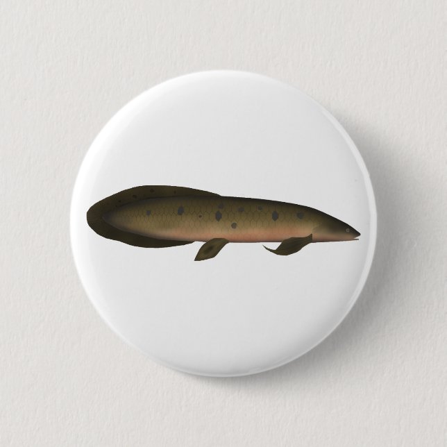 Australiska Lungfisk Knapp (Framsida)