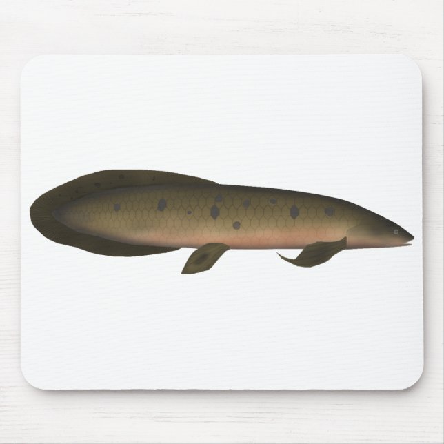 Australiska Lungfisk Musmatta (Framsidan)