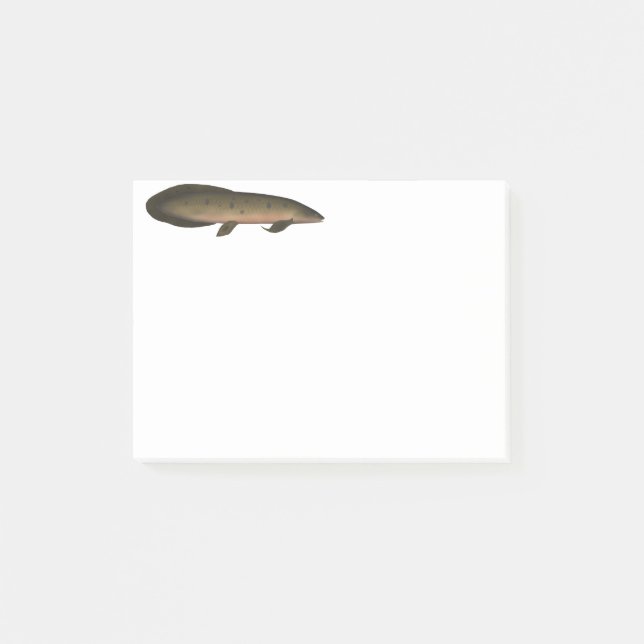 Australiska Lungfisk Post-it Block (Framsida)