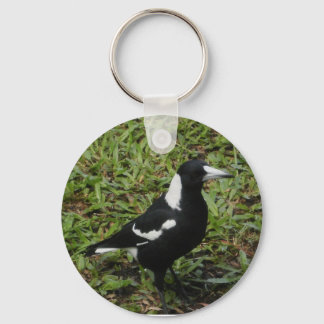 Australiska Magpie-nyckelkedja Nyckelring