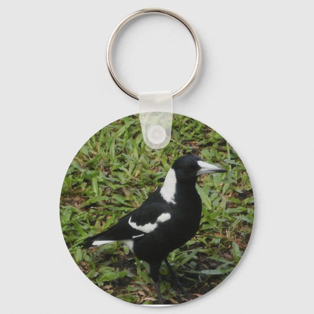 Australiska Magpie-nyckelkedja Nyckelring (Framsida)