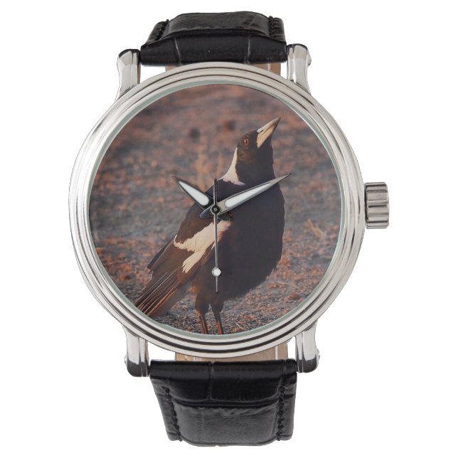 Australiska Magpie watch Armbandsur (Framsida)