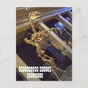 Australiska museet i Sydney Australia Vykort