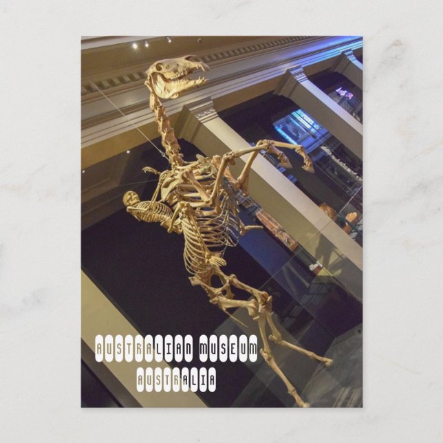 Australiska museet i Sydney Australia Vykort (Framsida)