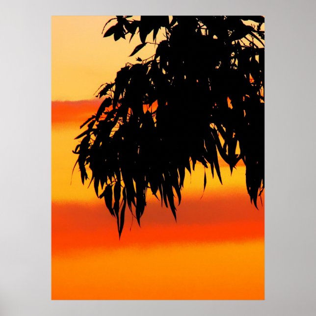 Australiska Silhouette Sunset Himlar Skriv ut Poster (Framsidan)
