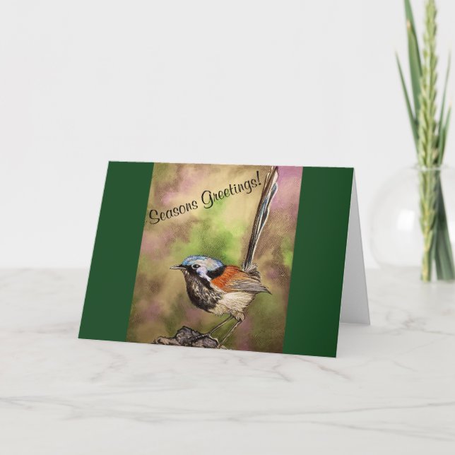 Australiska Splened Fairy Wren Kort (Framsida)