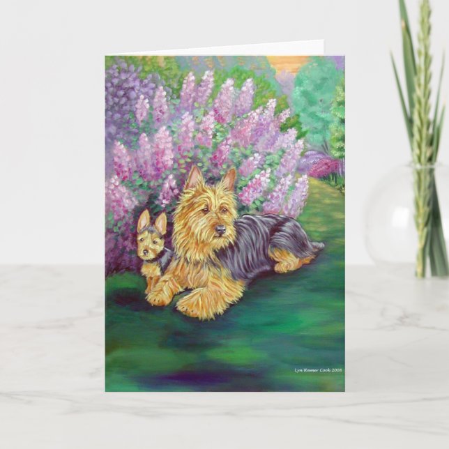 Australiska Terrier Greeting Cards Kort (Framsida)