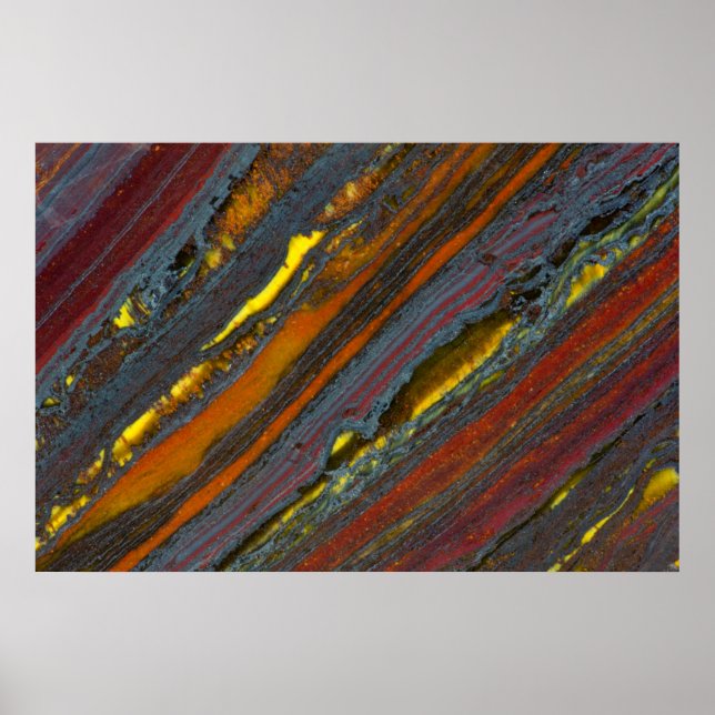 Australiska tigern Öga Poster (Framsidan)