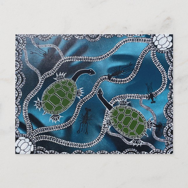 Australiskt borresköldpaddsvykort vykort (Framsida)