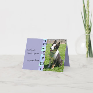 Australiskt boskapskort Hund Birthday Greeting Car Kort
