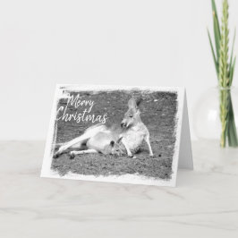 Australiskt julhälsningskort kort