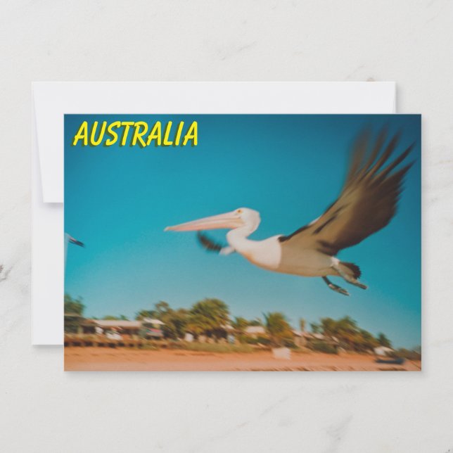 Australiskt pelican Card (Framsida)
