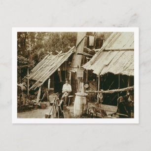Australiskt prospektor, c.1880s (sepiafoto) vykort