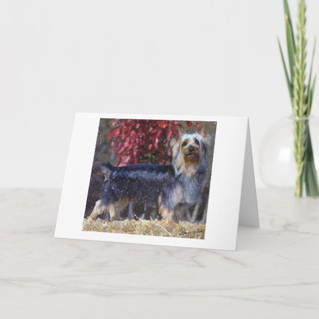 Australiskt Silky Terrier Hund Blank Greeting Card Kort (Framsida)