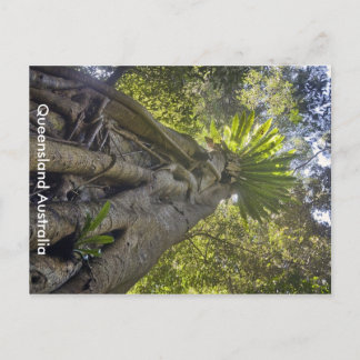 Australiskt vykort för skog