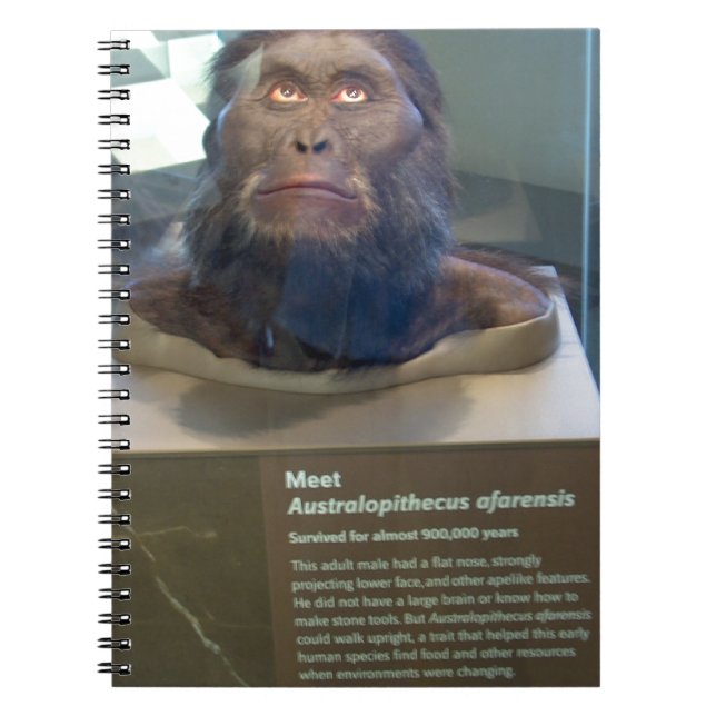 Australopithecus afarensis; museiutställning. anteckningsbok (Framsidan)