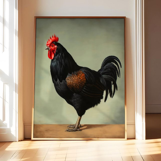 Australorp Kyckling Konsttryck Poster, Vintage Fåg Poster (Skapare uppladdad)
