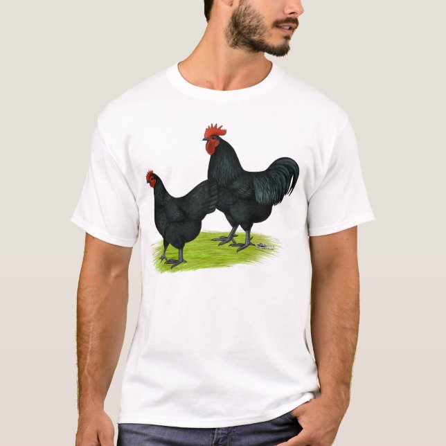 Australorp svarthönor t shirt (Framsida)