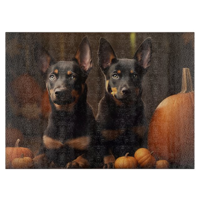 Australsk Kelpie Valp Höstglädje Pumpa (Framsidan)