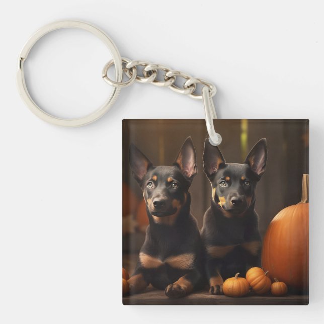 Australsk Kelpie Valp Höstglädje Pumpa (Framsidan)