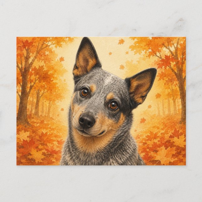 Australsk nötkreaturshund Höstskog Hund Vykort (Framsida)