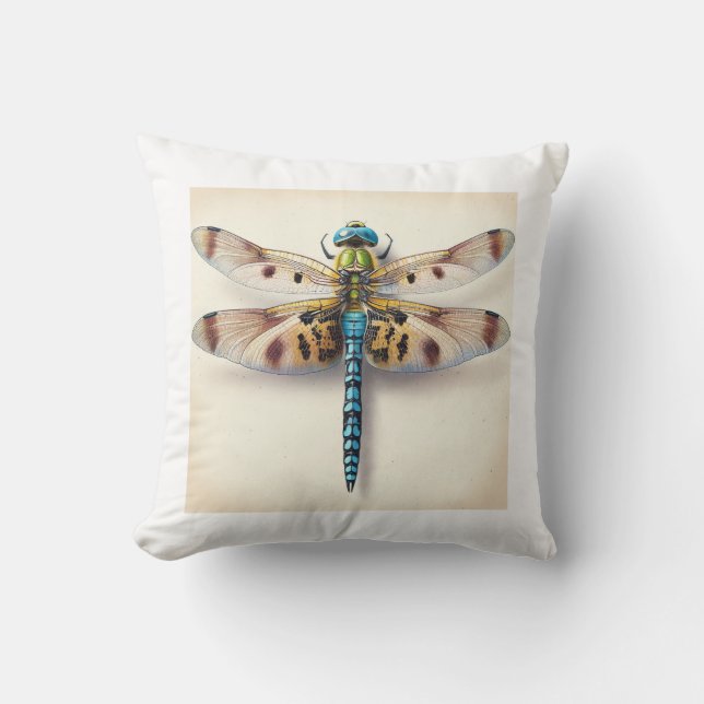 Austropetalia Dragonfly Dorsal View IREF805 - Wate Kudde (Framsida)