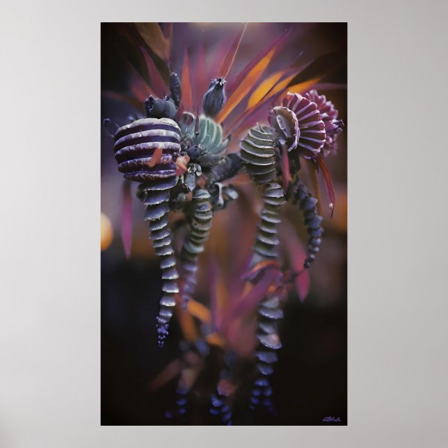 Auténtico Poster (Framsidan)