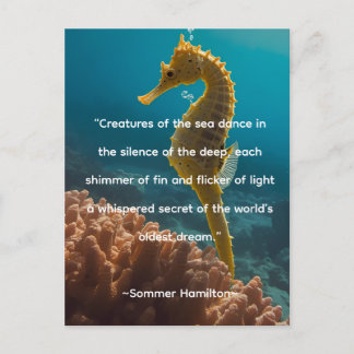 Author Collection by Author Sommer Hamilton Vykort