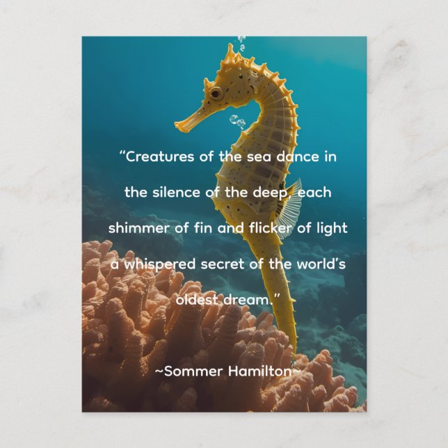 Author Collection by Author Sommer Hamilton Vykort (Framsida)